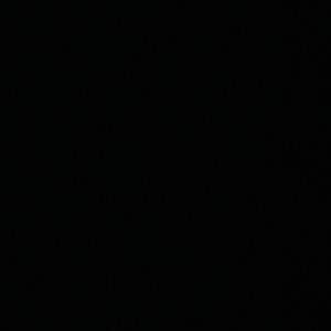 Meet your Posher, Tammi